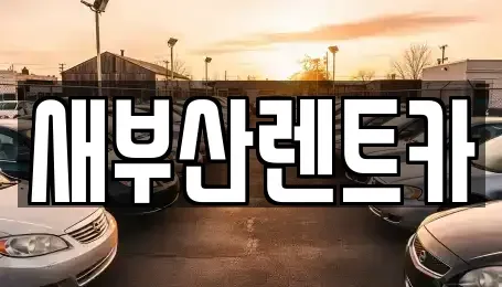 부산 서구 부용동2가 렌트카 전문 새부산렌트카