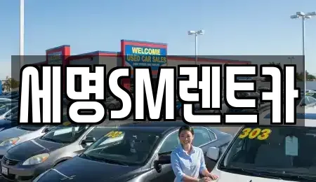부산 영도구 신선동3가 렌트카 전문 세명SM렌트카