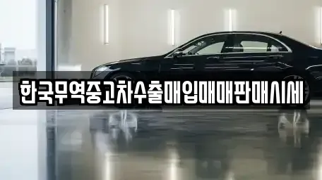 부산 영도구 신선동3가 중고차 전문 한국무역중고차수출매입매매판매시세