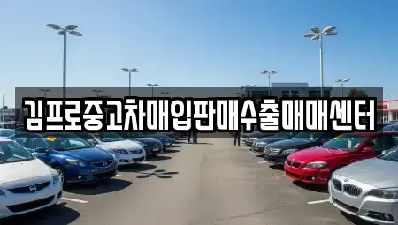 부산 영도구 신선동3가 중고차매입 전문 김프로중고차매입판매수출매매센터