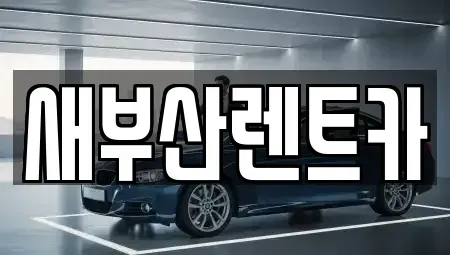 부산 영도구 영선동4가 렌트카 전문 새부산렌트카