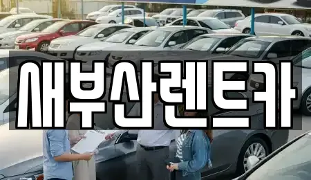 부산 중구 보수동1가 렌트카 전문 새부산렌트카