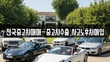 부산 중구 보수동1가 중고차매매 전문 전국중고차매매-중고차수출,사고노후차매입