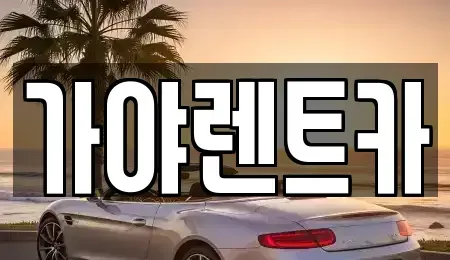 부산광역시 강서구 죽동동 렌트카 전문 가야렌트카