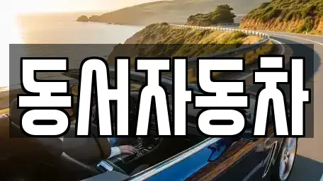 부산광역시 강서구 죽동동 중고차 전문 동서자동차