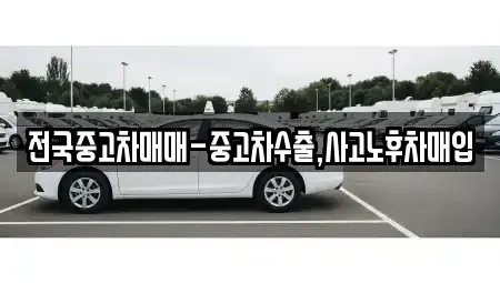 부산광역시 강서구 죽동동 장기렌트카,중고차,렌트카,단기렌트카,중고차매입,중고차매매