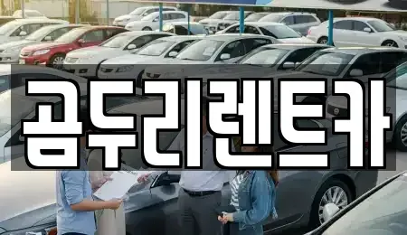 부산광역시 금정구 서동 렌트카 전문 곰두리렌트카