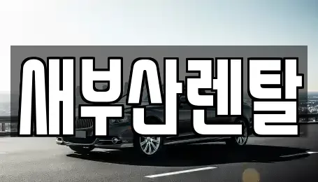 부산광역시 금정구 서동 렌트카 전문 새부산렌탈