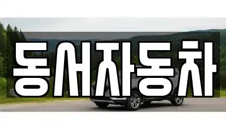 부산광역시 금정구 서동 중고차매매 전문 동서자동차
