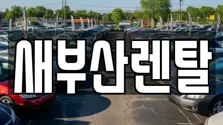 부산광역시 기장군 철마면 렌트카 전문 새부산렌탈
