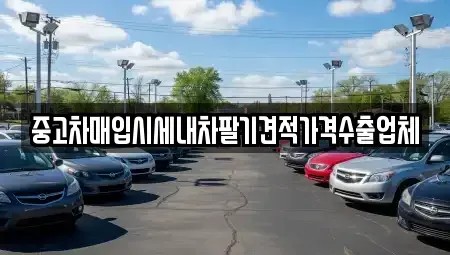 부산광역시 기장군 철마면 중고차매입 전문 중고차매입시세내차팔기견적가격수출업체