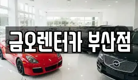 부산광역시 부산진구 양정동 장기렌트카 전문 금오렌터카 부산점