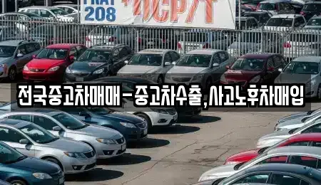 부산광역시 부산진구 양정동 중고차매입 전문 전국중고차매매-중고차수출,사고노후차매입