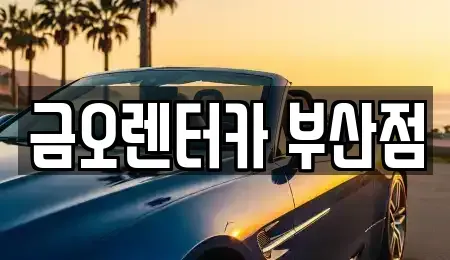 부산광역시 부산진구 전포동 장기렌트카 전문 금오렌터카 부산점
