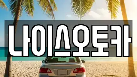 부산광역시 부산진구 전포동 장기렌트카 전문 나이스오토카