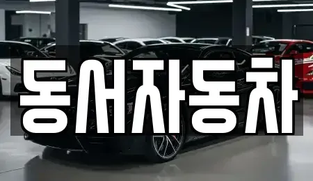 부산광역시 부산진구 전포동 중고차매매 전문 동서자동차