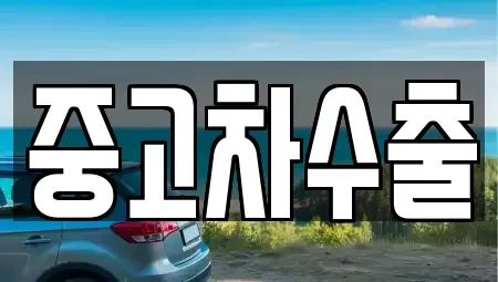 부산광역시 부산진구 전포동 중고차매입 전문 중고차수출