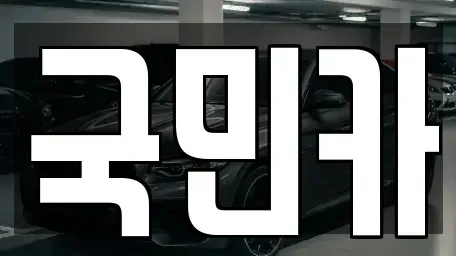 부산광역시 북구 금곡동 렌트카 전문 국민카