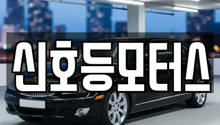 부산광역시 북구 금곡동 중고차매매 전문 신호등모터스