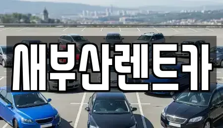 부산광역시 서구 토성동5가 렌트카 전문 새부산렌트카
