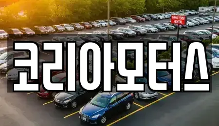 부산광역시 서구 토성동5가 중고차매매 전문 코리아모터스