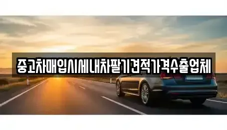 부산광역시 서구 토성동5가 중고차매입 전문 중고차매입시세내차팔기견적가격수출업체