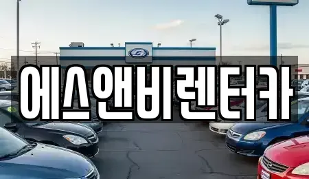 부산광역시 수영구 단기렌트카 전문 에스앤비렌터카