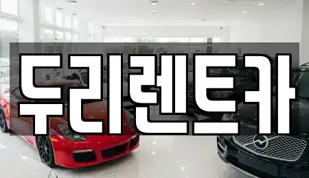 부산광역시 수영구 렌트카 전문 두리렌트카