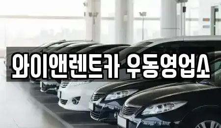 부산광역시 수영구 장기렌트카 전문 와이앤렌트카 우동영업소