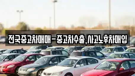 부산광역시 수영구 중고차 전문 전국중고차매매-중고차수출,사고노후차매입