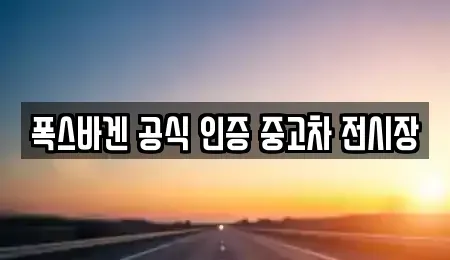 부산광역시 수영구 중고차 전문 폭스바겐 공식 인증 중고차 전시장
