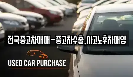 부산광역시 영도구 남항동1가 중고차 전문 전국중고차매매-중고차수출,사고노후차매입