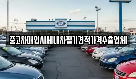 부산광역시 영도구 남항동1가 중고차매입 전문 중고차매입시세내차팔기견적가격수출업체