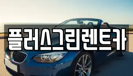 서울 강남구 삼성동 렌트카 전문 플러스그린렌트카