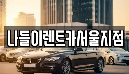 서울 강남구 수서동 렌트카 전문 나들이렌트카서울지점