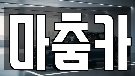 서울 강남구 수서동 렌트카 전문 마춤카