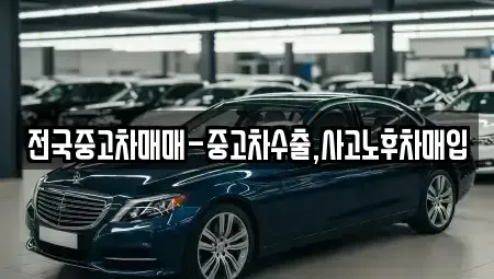 서울 강남구 수서동 중고차 전문 전국중고차매매-중고차수출,사고노후차매입