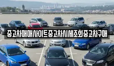 서울 강남구 수서동 중고차,렌트카,중고차매입,중고차매매,장기렌트카,단기렌트카