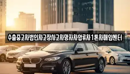 서울 강남구 수서동 중고차매입 전문 수출중고차법인차고장사고차망자차압류차1톤차매입센터
