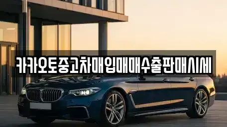 서울 강남구 수서동 중고차매입 전문 카카오토중고차매입매매수출판매시세