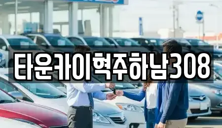 서울 강동구 강일동 단기렌트카 전문 타운카이혁주하남308