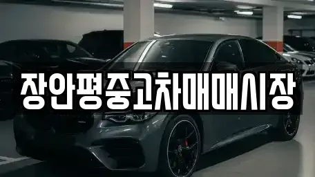 서울 강동구 강일동 중고차 전문 장안평중고차매매시장