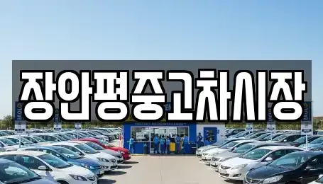 서울 강동구 강일동 중고차 전문 장안평중고차시장