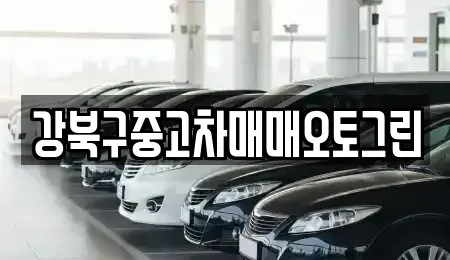 서울 강북구 미아동 중고차매매,단기렌트카,중고차매입,장기렌트카,중고차,렌트카