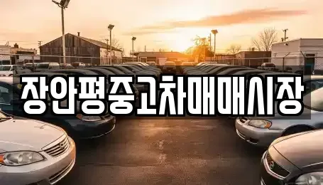 서울 강북구 미아동 중고차매매 전문 장안평중고차매매시장