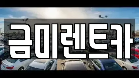서울 동작구 대방동 렌트카 전문 금미렌트카