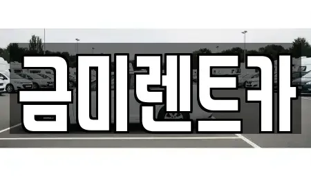 서울 동작구 본동 렌트카 전문 금미렌트카