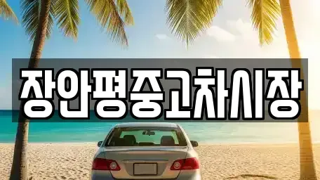서울 동작구 본동 중고차,렌트카,중고차매입,중고차매매,장기렌트카,단기렌트카