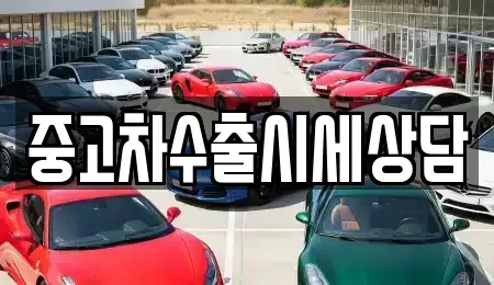 서울 동작구 본동 중고차 전문 중고차수출시세상담