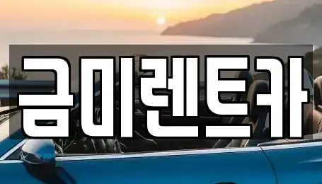 서울 동작구 신대방동 렌트카 전문 금미렌트카